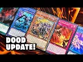 My NEW Doom of Dimensions Dogmatika Ritual Deck Updated Techs Combo Guide
