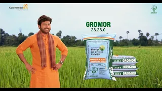 ಗ್ರೋಮೋರ್ 28:28:0 ರಸಗೊಬ್ಬರ | ನಿಮ್ಮ ಬೆಳೆಗಳಿಗೆ ತಕ್ಷಣದ ಹಸಿರುತ್ವ ಮತ್ತು ದೀರ್ಘಕಾಲದ ಬೆಳವಣಿಗೆ ನೀಡುತ್ತದೆ