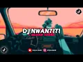 Download Lagu DJ NWANTITI × MASHUP KABINA \