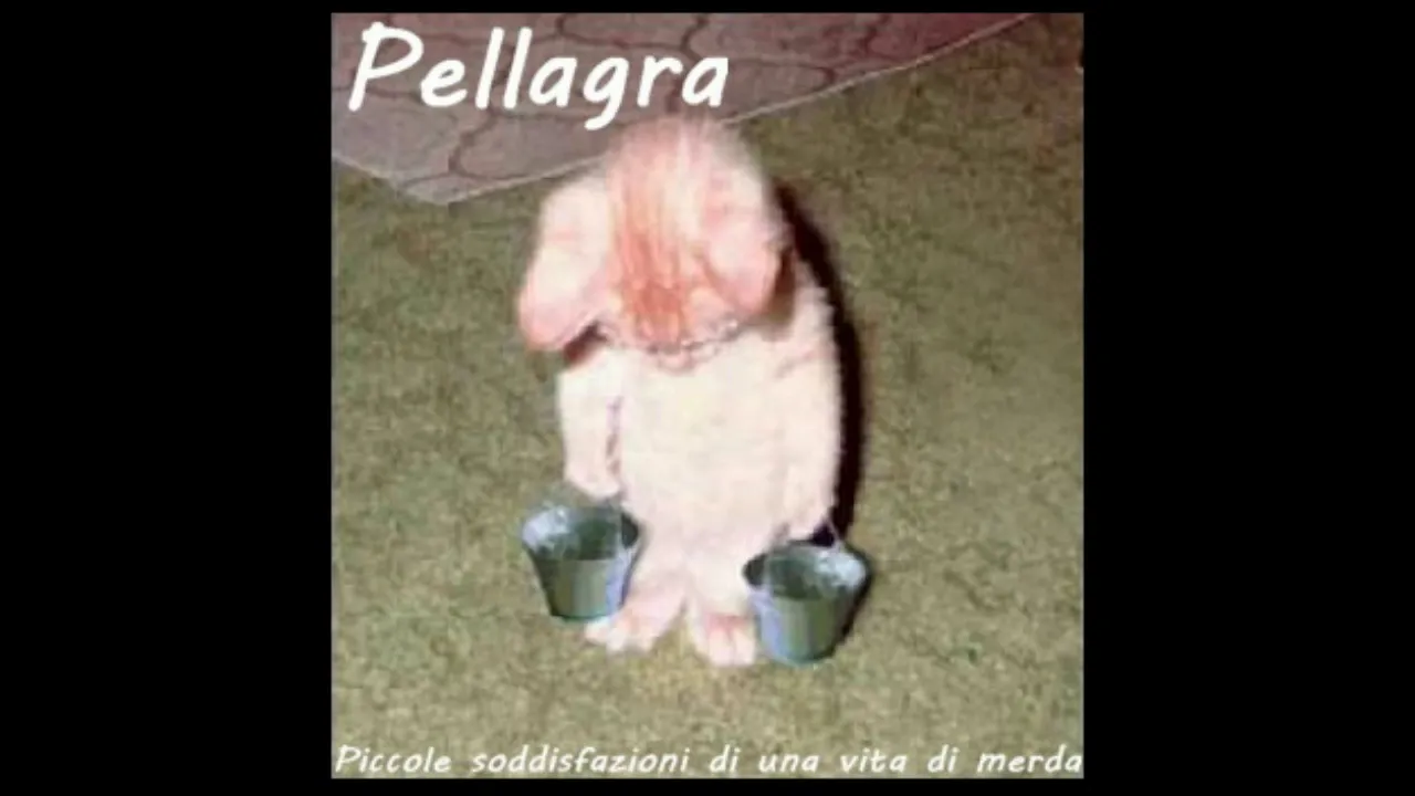 PELLAGRA - MOSCONE