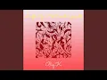 Download Lagu Liefde Op Het Eerste Gezicht