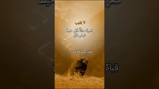 لا يشيب شعرك مجانا فكل خيط ابيض هو بثمن قناة باسم العراقي لايك اشتراك 