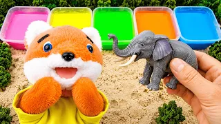 Colorful Animal Adventure 🐘🎨 Wash & Discover the Animals