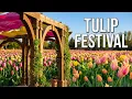 Experience Utah s Tulip Festival at Thanksgiving Point