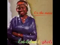Evi Edna Ogholi   There Is No Place Like Home