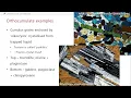 Lecture 4 1 - Magma chamber processes part 1 Volcanoes magmas and their geochemistry