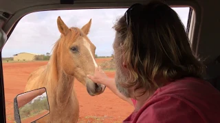 Ep 109 | Abandoned History, Bygone Days, 4WD Outback Trip