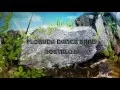 Download Lagu Floryda Dance Band  ,,Nostalgia\