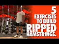 5 EXERCISES TO BUILD RIPPED HAMSTRINGS