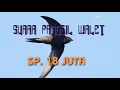 Suara panggil walet SP. 18 juta guys...dites aja dirbw nya siapatau respon gusy