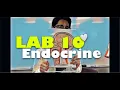 A P II - Lab 10