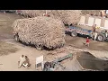 Download Lagu Visit Trip In A Sugar Mills (industry)