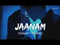 Download Lagu Jaanam (Slowed + Reverb) | Vishal Mishra | Bad Newz | Vicky Kaushal, Triptii Dimri | SR Lofi