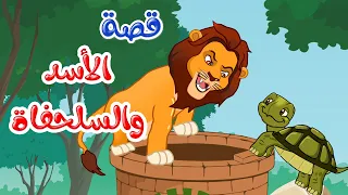 زاد الحكايا قصص اطفال قصص قبل النوم الأسد والسلحفاة 
