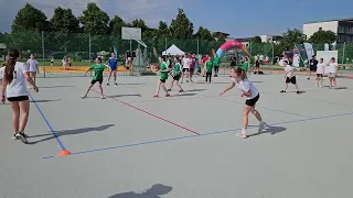                         دندنها