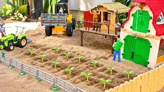 Plant Work with Truck Car Toy Sand Play