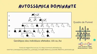 Aula sobre padrões de herança monogênica - Parte1