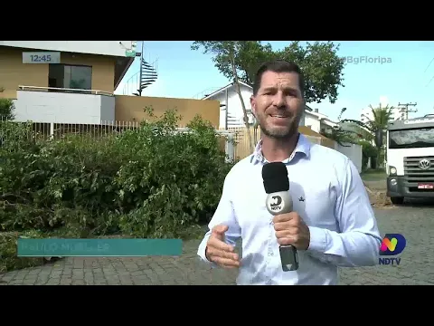 Florianópolis vive epidemia de dengue com mais de 300 casos da doença confirmados