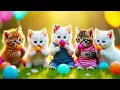 Download Lagu Suara kucing meong meong‼️kucing liar kucing galak berantem❤️💞🐈lagu anak popular❤️meong kucing lucu🥰