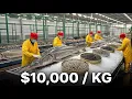 Inside the Beluga Sturgeon Factory Beluga Caviar - From Farm to Luxury Table