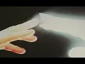 cicada- sega bodega + arca (slowed a bit)