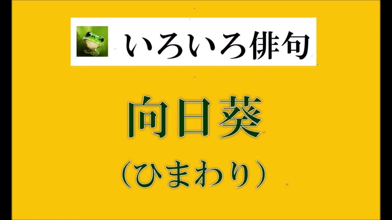 【一般向け】夏の季語一覧。日常の風情ある夏の言葉たち