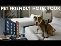Pet Friendly Hotel Tour Fairfield Inn Suites by Marriott Stony Creek VA