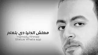 واهى كانت غلطه مش اكتر حاله واتس تامر عاشور حزينه 