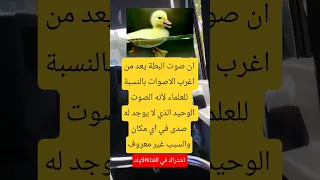 ان صوت البطة يعد من اغرب الاصوات بالنسبة للعلماء لأنه الصوت الوحيد الذي لا يوجد له صدى في اي 