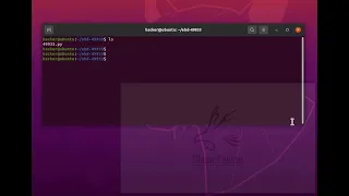 PHP 8 1 0-dev - User-Agentt Remote Code Execution ebd-49933 sample webhacking