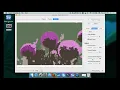 Super Vectorizer Pro - Convert Image into Logo Vector