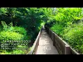 Tokyo Day Walk in Tamagawa Josui Quiet Forest Waterway Japan 4K R