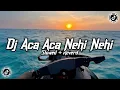 Lagu Dj Aca Aca Nehi Nehi ( Slowed + Reverd )🎧