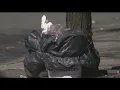New NYC garbage rules are now in effect