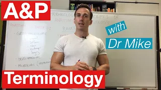 Basic terminology and concepts of Anatomy and Physiology A P