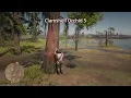 RDR2 - 10 Clamshell Orchid Location