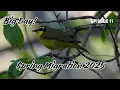 Spring Migration 2025 - EP 11
