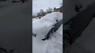 كلو ابيض فبيض  كلو ابيض فبيض