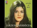 Gülden Karaböcek - Kaybolan Hayaller
