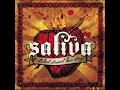 Saliva - Ladies and Gentlemen