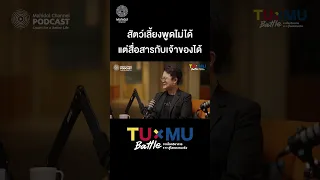 สัตว์เลี้ยงอย่างสุนัขหรือแมวแสดงอาการหิวอย่างไรบ้าง