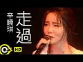Download Lagu 辛曉琪 Winnie Hsin【走過 Going Through】Official Music Video