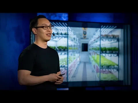 Video Play