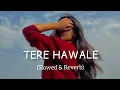Download Lagu Tere Hawale - Arijit Singh | Slowed+Reverb | Lofimix Song