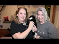 Watkinsville cat cafe finds homes for more than 100 felines in less than a year