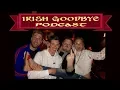Meeting Anne Heche - Irish Goodbye Highlight