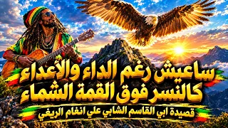 سأعيش رغم الداء والأعداء    كالنسر فوق القمة الشماء   أبو القاسم الشابي                 دندنها