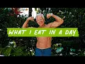 Mark Sisson What I Eat in a Day 2024