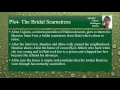 Analysis of The Dew Breaker - INGL3222 LH1
