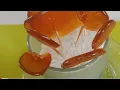 Honey ginger Lollypops homemade cough drops